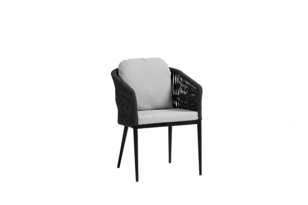 Ratana - Gemelli Dining Arm Chair